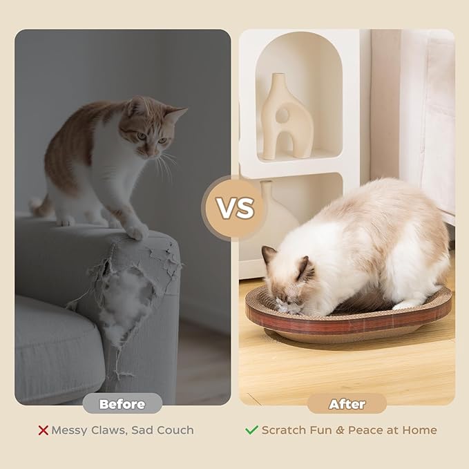 Avont 3-Piece Cardboard Cat Scratcher Set for Indoor Cats, Corrugated Cat Scratchers with Reversible Scratch Pad, Scratch Box and Lounge Bed