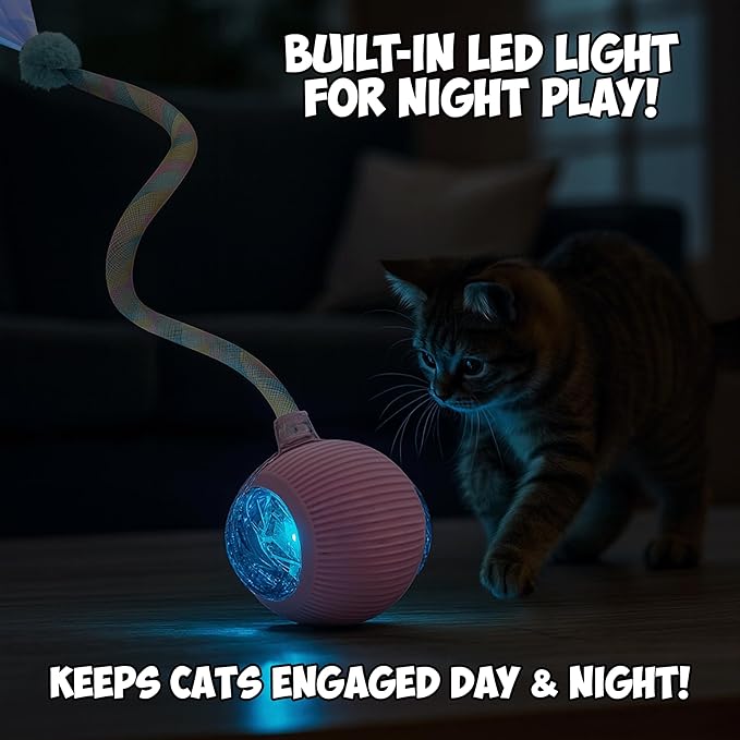 2-Pack Interactive Cat Ball Toys β Pink & Blue Combo β Automatic Rolling Balls with Long Tail & Feather, 3-Modes & USB Rechargeable for Indoor Cats