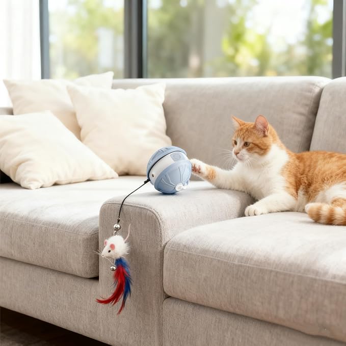 Interactive Cat Toy Ball for Indoor Cats, 2-in-1 Smart Moving Cat Ball with Feather Accessories, Automatic Kitten Toys for Bored Indoor Cats, USB Rechargeable Ideal for Small and Medium Cats