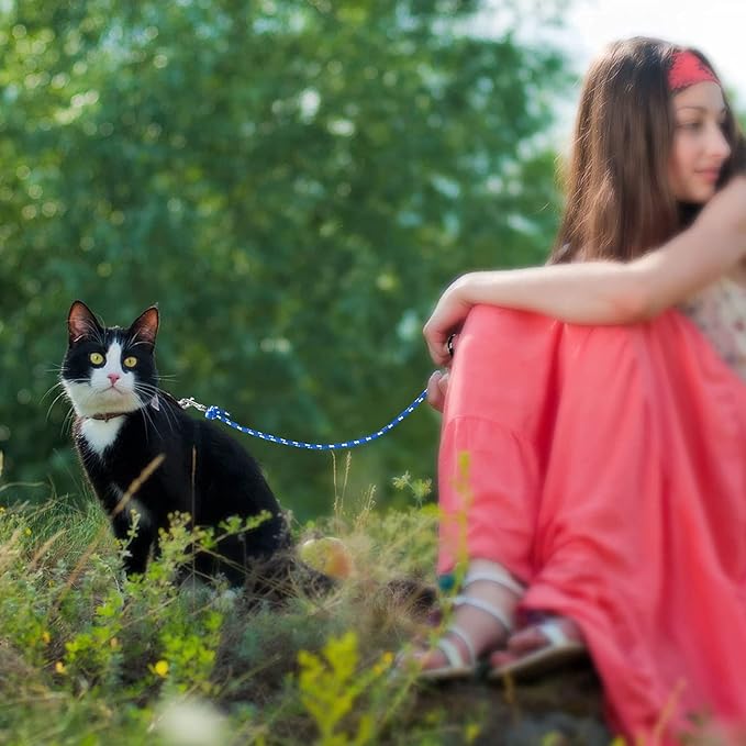Rypet Reflective Cat Long Leash - 50 FT Escape Proof Walking Leads Yard Long Leash Durable Safe Personalized Extender Lead Traning Play Outdoor for Kitten, Puppy, Rabbit and Small Animals