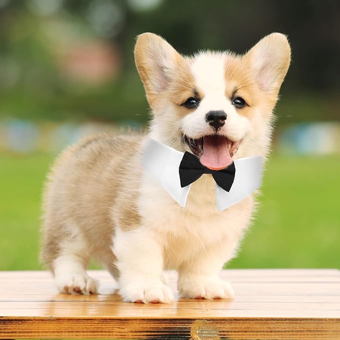 2 Pcs Cat Bow Tie Dog Cat Tuxedo Collar Pet Costume Neck Girth 9.3"- 12" Cats Wedding Bowtie Wedding Dog Bowtie Tie for Cats Small Dogs Puppy Birthday Easter Valentines Weddings Grooming Accessories