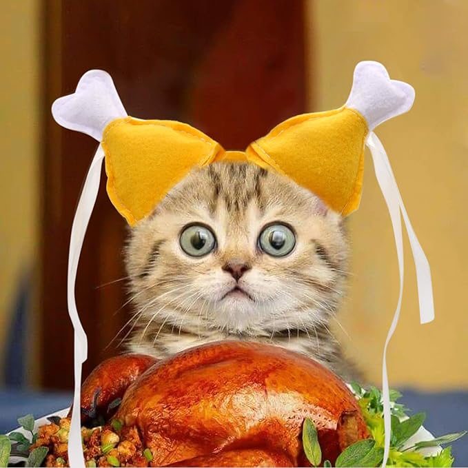 Rypet Thanksgiving Cat Costume 2 Pack - Pet Turkey Hat Thanksgiving Apparel for Cats and Small Dogs