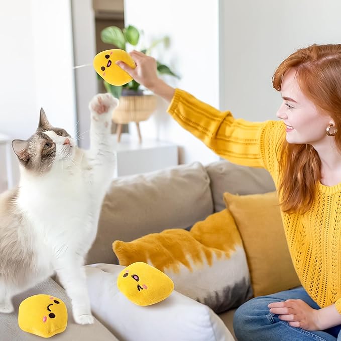 L1rabe Nuggets Catnip Stuffed Toys for Cats- 5Pcs Pet Days Funny Yellow Fried Chicken Indoor Cat Toys, Kitten Chew Bite Kick Non-Toxic Interactive Supplies for Pet Lovers Kitten Birthday Gift