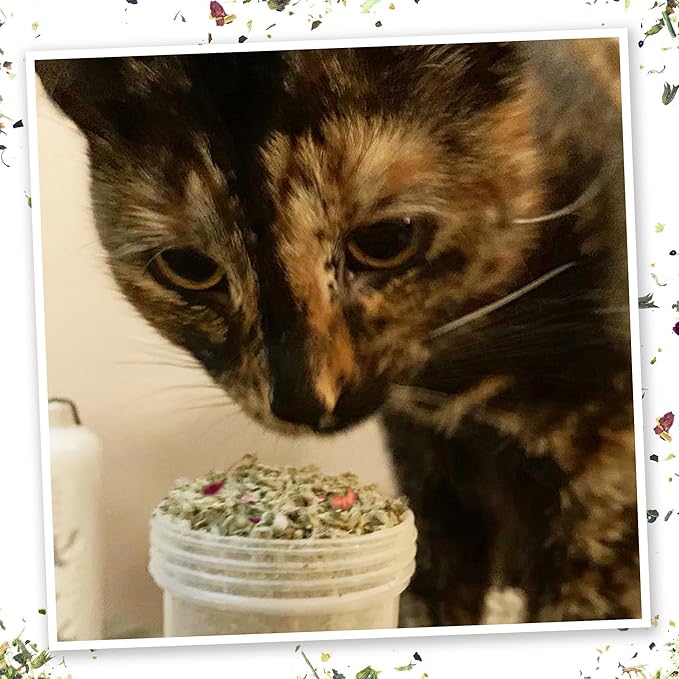Meowijuana | Winter Lift Catnip Holiday Blend | Premium Organic Catnip | Grown in North America | Perfect for Cat Toys | Fresh Catnip for Extended Playtime
