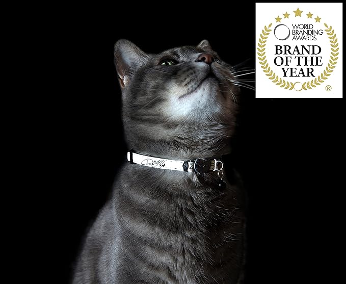 Rogz Glow in the Dark Reflective Cat Collar with Breakaway Clip and Removable Bell, fully adjustable to fit most breeds, Blue Floral Cat Design