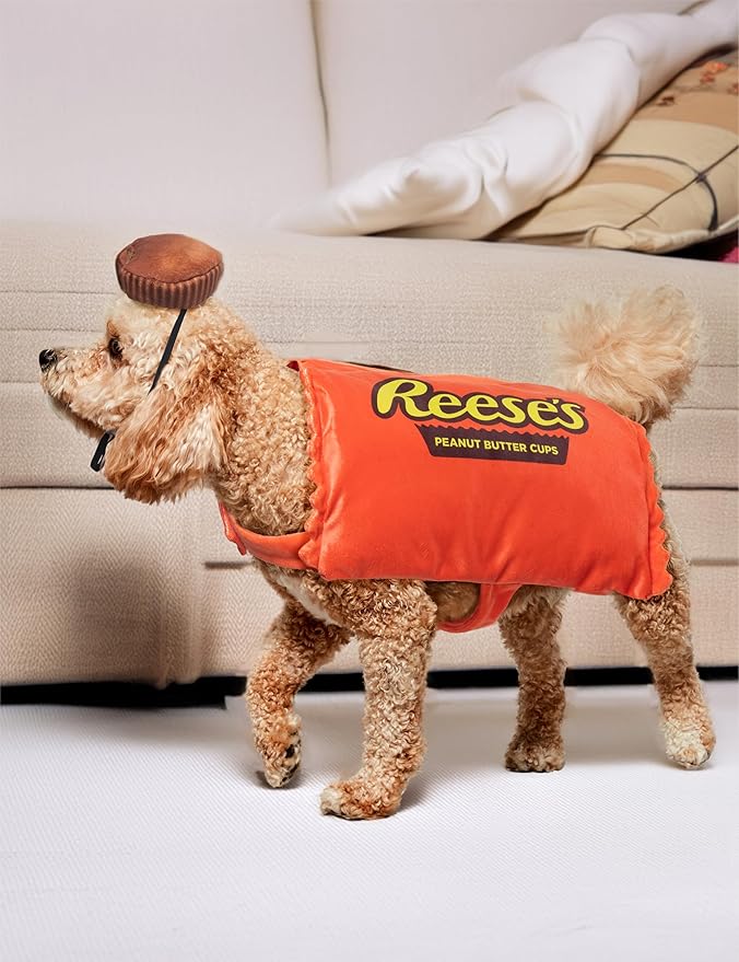 Hershey's: Reese's Peanut Butter Cup Pet Costume for For Dogs or Cats by Rubies, S/M