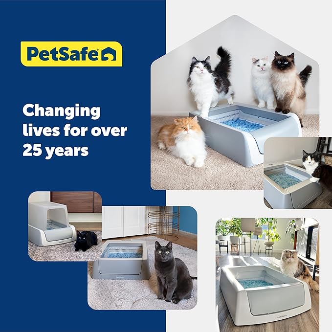 PetSafe ScoopFree Premium Crystal Cat Litter - Outperforms Clay Litter - Refill Packs - Reusable Tray Compatible - Lavender Scent - 4.3 lb Bags - 2 Pack