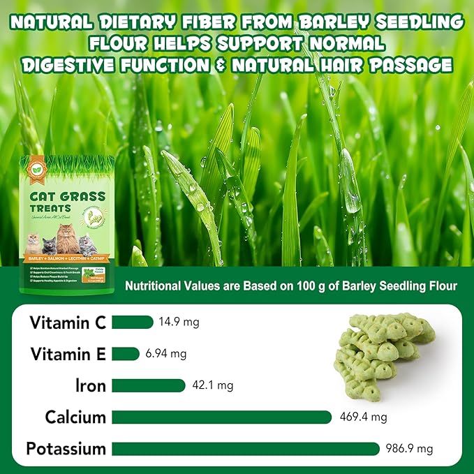 180g/6.4oz Cat Grass Treats for Hairball Control, Natural Teeth Cleaning & Fresh Breath, Crunchy Catnip Flavored Biscuits with Barley Grass, Cat Training Rewards for All Breeds