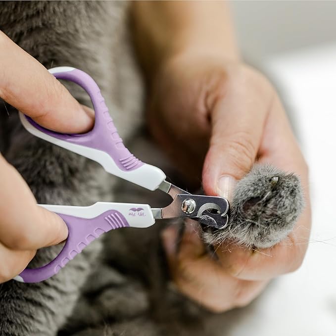 Mr. Pen- Cat Nail Clipper, Stainless Steel, Professional Sharp Cat Claw Trimmer for Small and Medium Cats, Pet Nail Clipper with Sturdy Non Slip Handle
