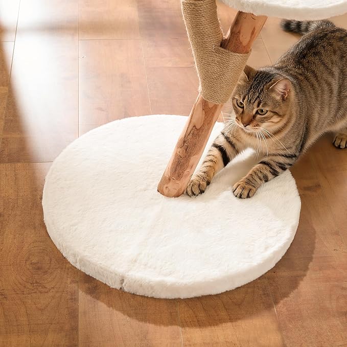 【2026 Upgraded】 YOCAN Modern Cat Tree Tower for Indoor Cats, 2-Tier Cat Furniture with Natural Wood Posts, Soft Plush Bed, Scratching Post & Hanging Ball Toy, Stylish Cat Climbing Tower
