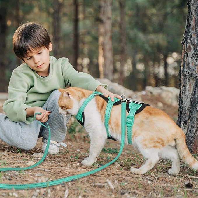 Cat Harness for Walking, Escape Proof Cat Harness and Leash Set with Reflective Strip, Adjustable Cat Leash Breathable Soft Vest for Small to Large Cats, Green, M