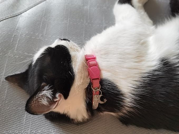 Pack of 2 Rhinestone Cat Collar Breakaway Safety Buckle with Bell, Adjustable Diamond Girl Boy Kitty Cute Comfy Collar for Kitten Small Pets Rabbits, 7.5"-11"