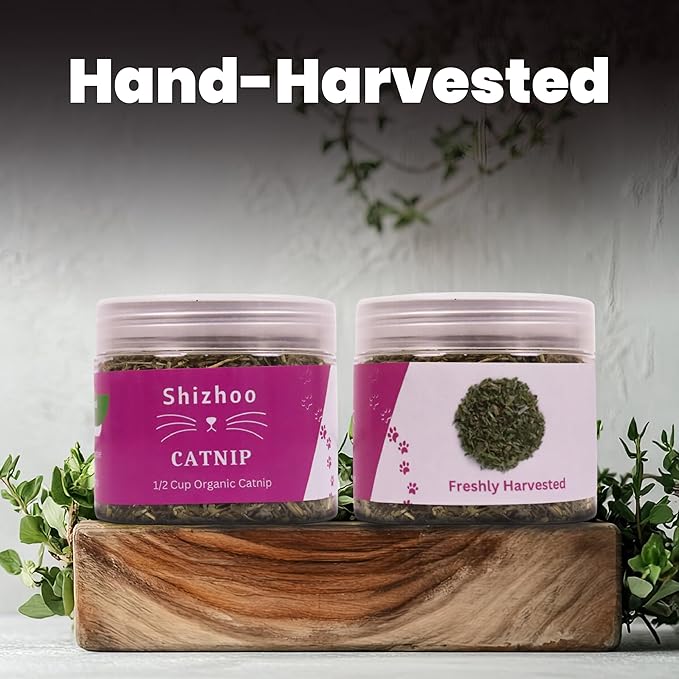 Catnip for Cats with Leaves and Flower Seeds 100% Natural and Organic Catnip Premium Cat Nip for Cats & Kittens Used as a Snack or Refillable Catnip Treats for Cats (1/2 Cup)