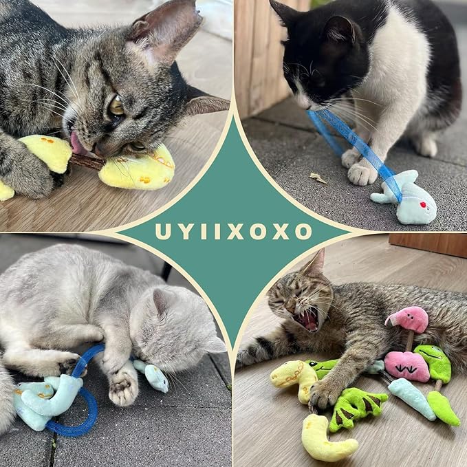 Interactive Cat Toys Set, Silvervine Chew Sticks and Catnip Spring Ropes, Indoor Cat Toys for Exercise and Dental Care, for All Cat Breeds (5 Packs)