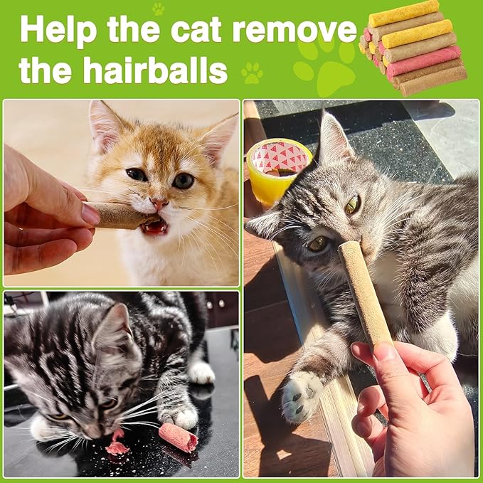 4 Flavors/110g Cat Grass Chew Sticks,Dental Health&Hairball Control for Cats,Dehydrated Cat Treats,Also for Dogs(Beef,Salmon&Cat Grass,Chicken&Pumpkin,Dragon Fruit&Chicken (105g)
