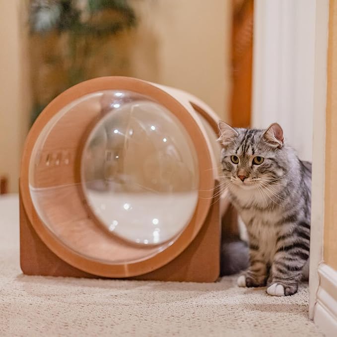11.8" Acrylic Dome Clear Plastic Pet Cat Bubble Window Capsule Space Cover, Transparent Furniture Replacement for Nest Bed Hammock Catching Tree Shelves Window Perch Accessories, Cat Tree Not Included