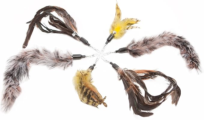 Cat Toys Feather Refill 6 Pack - Add Life to Your Cat's Favorite Toy with This Interchangeable Feather Refill Multipack (As Photographed).