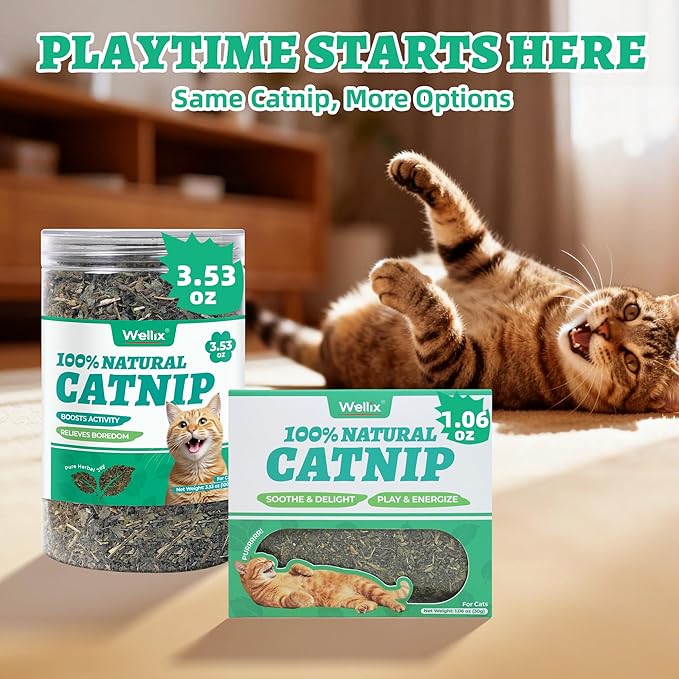 Wellix Fresh Catnip for Cats, Natural Dried Catnip Leaves, Flowers & Stems - Fresh Aroma, Used as Treats or Refillable Cat nip Toys, Non-addtictive, Safe for Indoor Kittens 1.06oz