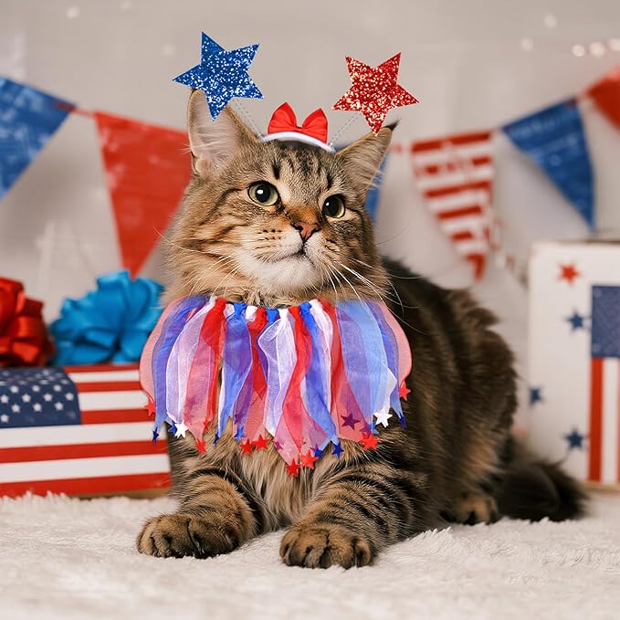 4th of July Dog Outfit, 2 Pcs Patriotic Red White Blue Dog Accessories, Fourth of July Pet Bow Headband and Star Tulle Collar Neck Ruff Set for Small Medium Dogs Cats