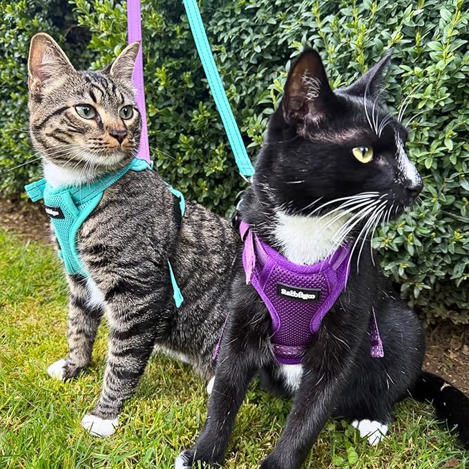 rabbitgoo Cat Harness and Leash, Escape Proof Vest with 3 Adjustable Buckles, Soft Comfortable Kitten Harness, Easy to Wear, Reflective for Safe Outdoor Walking, Medium, Purple