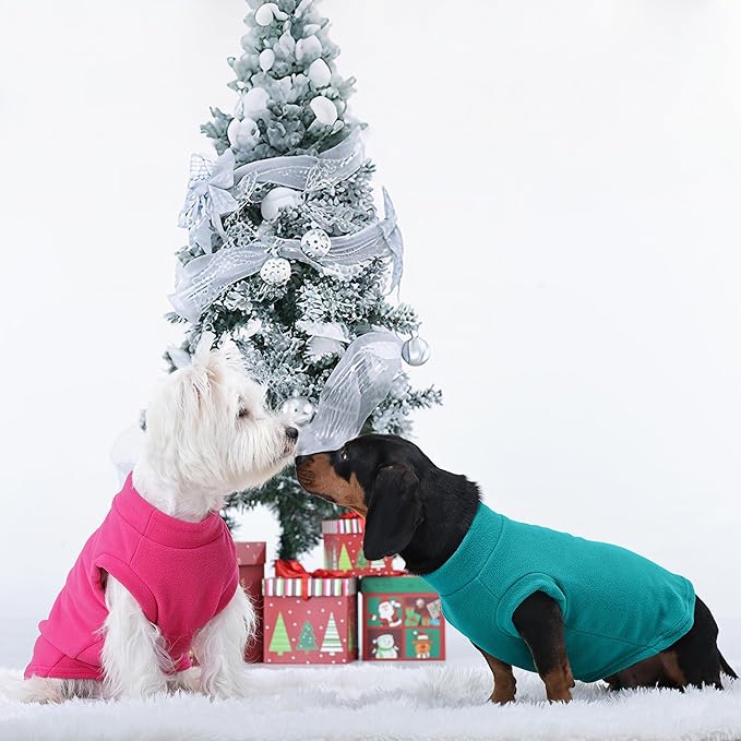 PUMYPOREITY Fleece Sphynx Cat Clothes, Warm Thick Cat Sweater, Soft Winter Coat for Hairless Cats, Cold Weather Pet Sweater for Dogs and Cats, Green, L