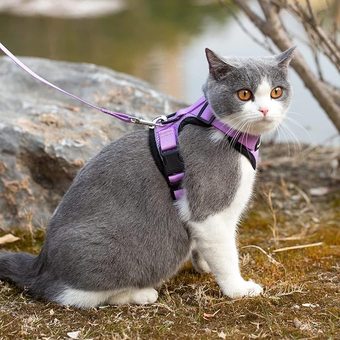 Mr. Peanut's PurrTrek Reflective Cat Harness with Matching Leash (Small, Lilac)