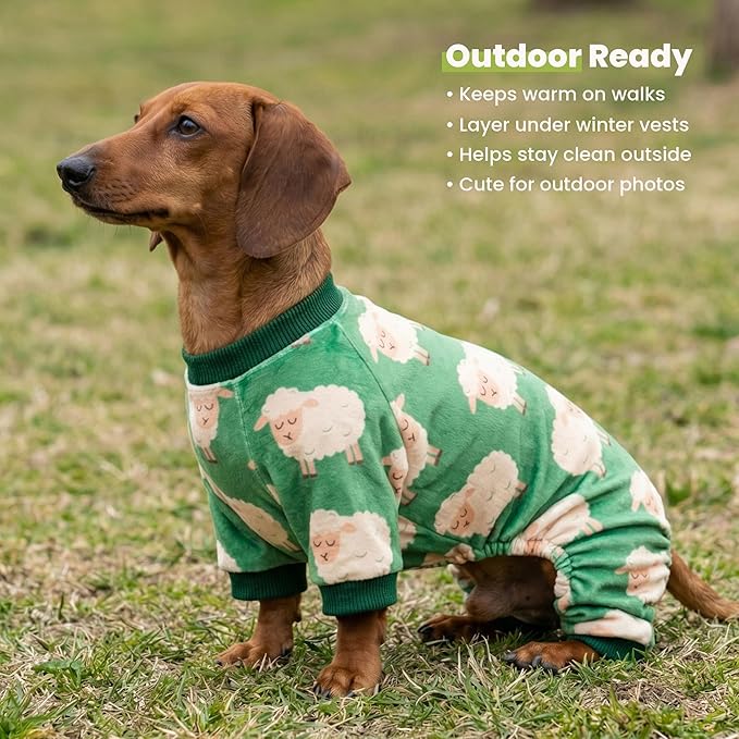 Fitwarm Funny Sheep Dog Pajamas, Warm Winter Dog Clothes for Small Dogs Boy Girl, Cozy Pet Onesie with Feet, Green, White, Large