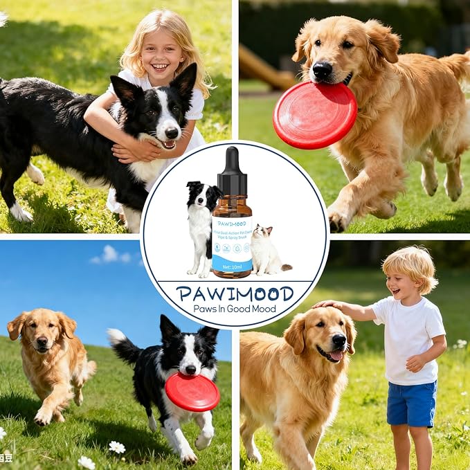 2Pcs Waterless No-Rinse Pet Shampoo Essence for Dogs & Cats with Green Grooming Gloves | Pomegranate Scent for Skin & Coat Care | Includes 5-Finger Bathing & Massage Gloves for Dogs/Cats