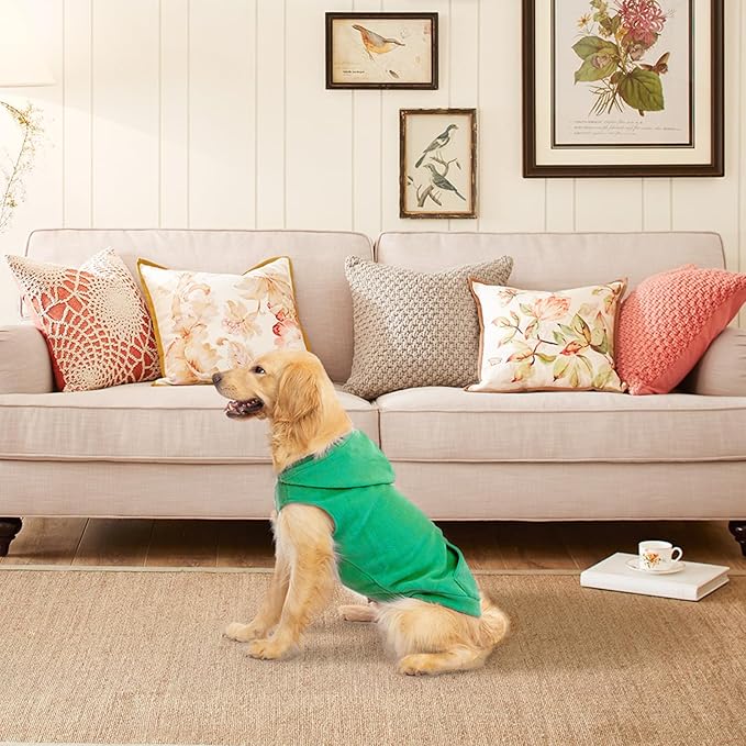 EXPAWLORER Dog Hoodie Fleece Sweater Vest, Hooded Dog Sweatshirt Fall Winter Pet Clothes with Leash Hole, Sleeveless Warm Cozy Puppy Clothing for Cat Small Medium Large Dogs Girl Boy, Green XL