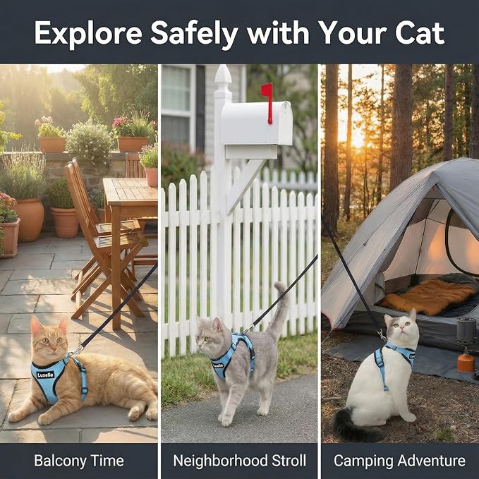 Luxelle 2 Pack Escape-Proof Cat Harness and Leash Set for Walking – Adjustable No Pull Soft Vest with Easy-Wear Buckle, Reflective Straps, Breathable Mesh – Outdoor Travel Harness for Cats & Kittens