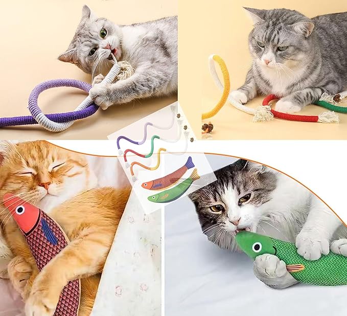 Cat Chew Rope Toy,Catnip Saury Fish Toys,Cats Interactive Toys for Teeth Cleaning,5Pcs Cat Toys for Indoor Cats with Refillable Natural Catnip(5Pcs Cat Toys)