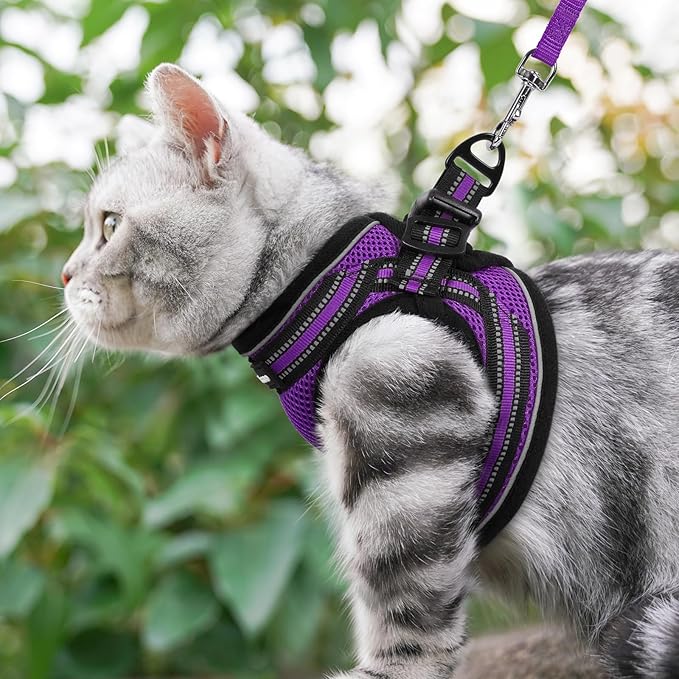 rabbitgoo Cat Harness and Leash Set for Walking Escape Proof, Adjustable Soft Kittens Vest with Reflective Strip for Cats, Comfortable Outdoor Vest, Purple, M