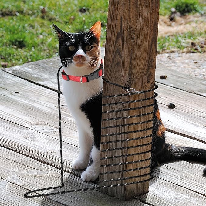 Extra Long Cat Leash for Yard, 15M/50FT Lightweight Outdoor Cat Leash Long Light Extension, Long Thin Lead for Rabbits, Kitten, Puppy and Small Animals