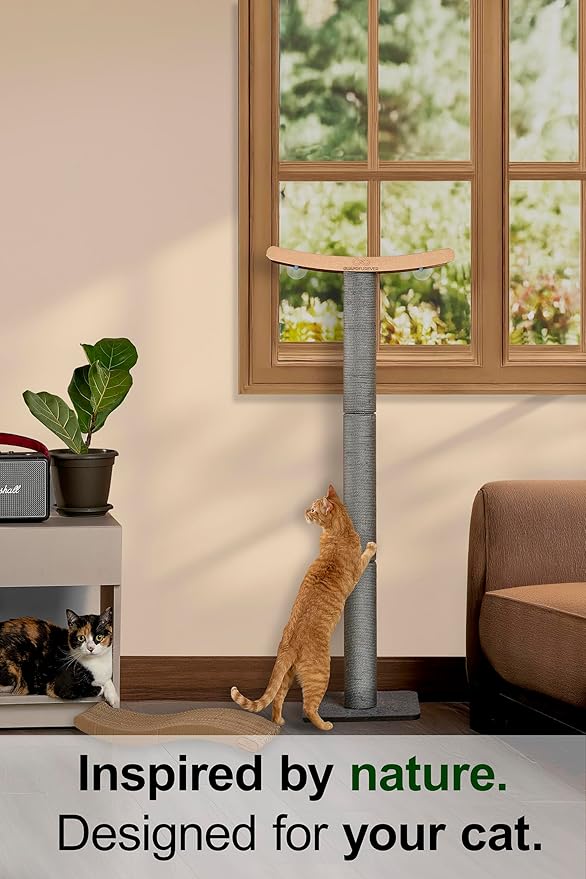Heavy Duty Cat Window Perch with Scratching Post – Large Scratching Post with Perch, Strong Suction Cups, Eco, Multi-Level Cat Furniture for Indoor Cats (Grey)