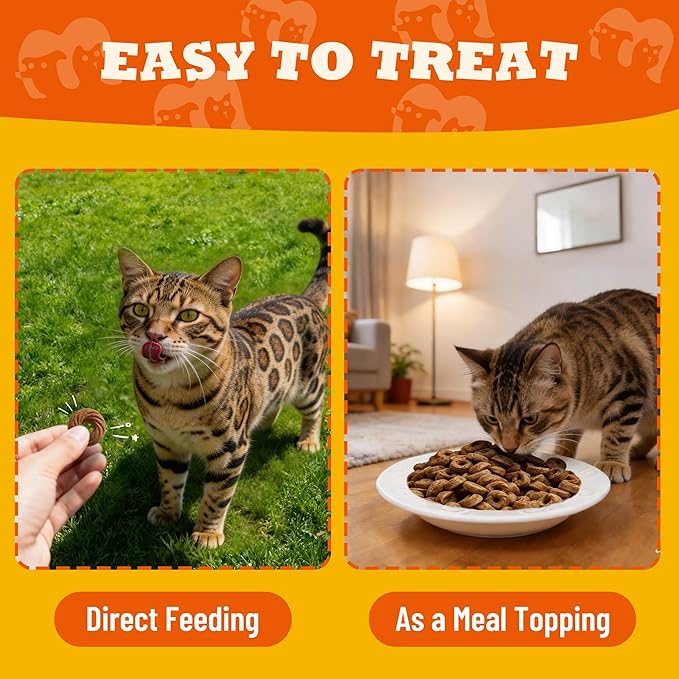 Crunchy Chicken Cat Treats – Healthy Biscuits with Chicken Liver, Salmon Oil, Vitamin C - Dental Care & Training Snacks for Indoor Cats (9 oz)