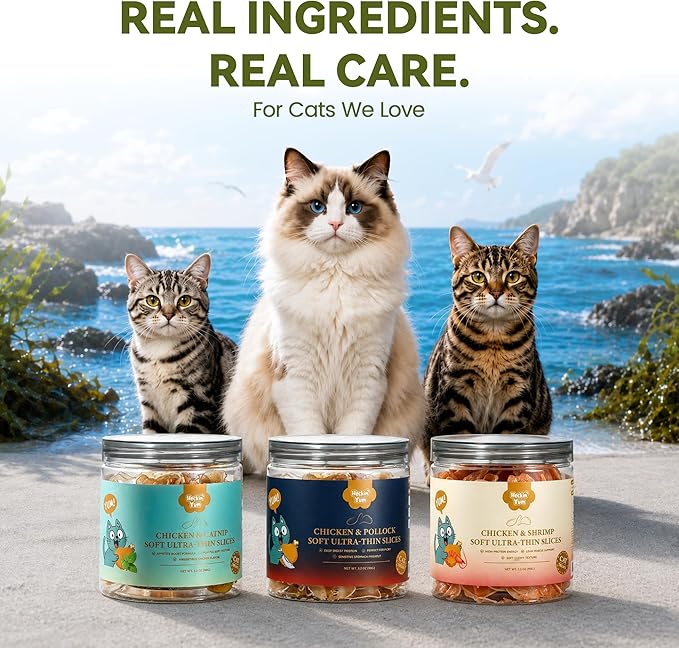 Chicken & Catnip Soft Cat Treats for Picky Cats, Ultra-Thin Easy-Chew Slices, Breakable No-Mess Cat Training & Playtime Rewards, 3.2 oz