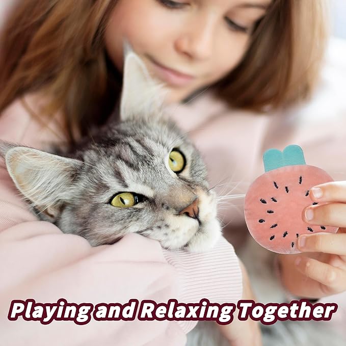 5pcs Catnip Toys, Funny cat Toys, bite Resistant cat Toys, Indoor Cartoon cat Toys for cat,cat chew Toys