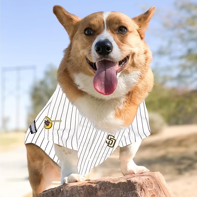 MLBPA Fernando Tatis Jr. Pet Jersey - San Diego Padres Mesh Cat Jersey, Small