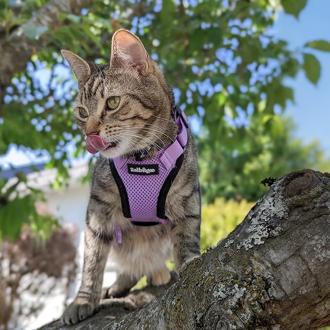 rabbitgoo Cat Harness and Leash for Walking, Escape Proof Soft Adjustable Vest Harnesses for Cats, Easy Control Breathable Reflective Strips Jacket, Light Purple, S
