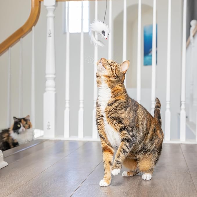 SPOT A-Door-Able Bouncing Mouse Cat Toy - Hanging Rattle & Catnip Interactive Toy, Entertain Cats for Hours, Indulge Natural Hunting Instincts, Provide Mental Stimulation, Suspend From Any Door Frame