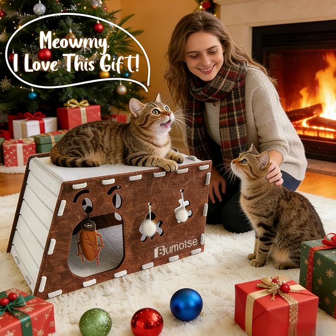 Interactive Felt Cat Tunnel for Indoor Cats with Catnip Toy, Modular Cat Cave House for Scratching, Play, Hiding & Sleeping, Durable Washable Cat Condo for Large Cats Up to 22LB,Coffee