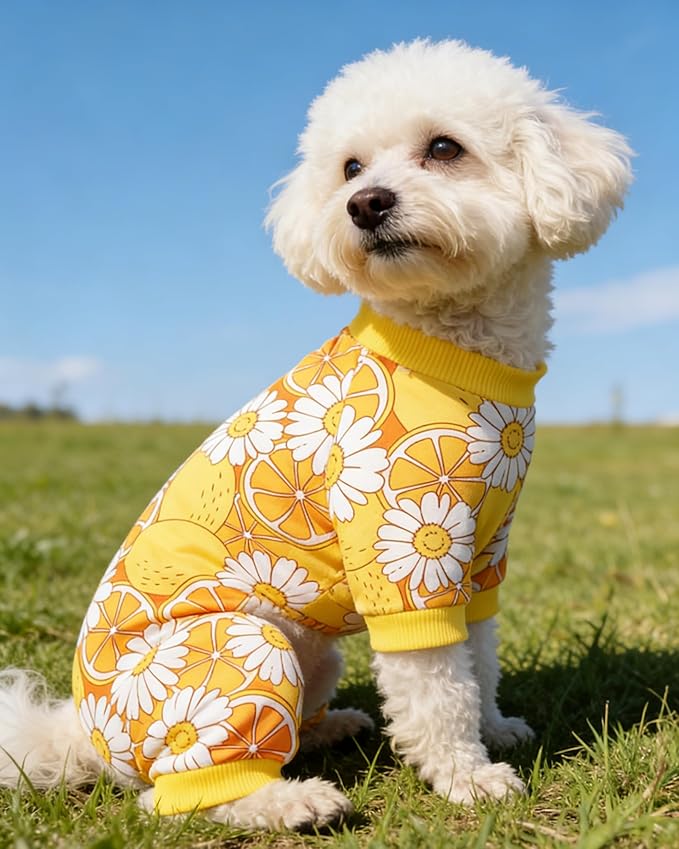 PET SHOW 4 Pack Dog Pajamas for Medium Large Dogs Girl Boy Small Dog Clothes Soft Stretchy PJs Dinosaur Car Jumpsuit Puppy Cats Daisies Cow Jammies Onesies Outfits with Sleeve Pets Costume, L