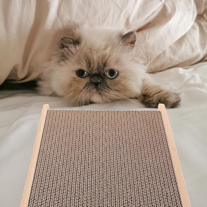 Cat Scratching Board and Lounge Bed Large Corrugated Cardboard Cat Scratch Mat with Frame Protecting Furniture and Playing
