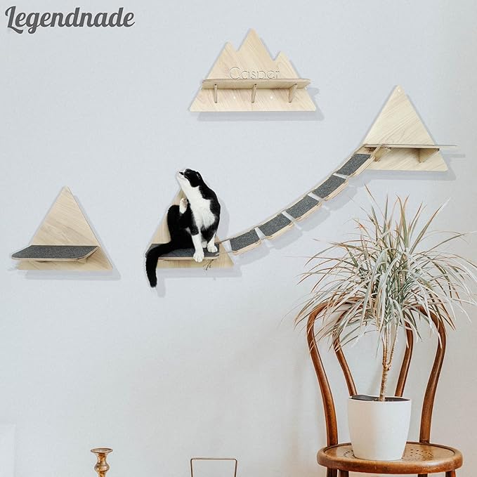 Personalized Cat Shelves, Triangle Shape Wall Mounted, Custom Cat Name Mounted Cat Shelf Wooden Furniture Perch Toy, for Sleeping Playing Scratching Your Pet