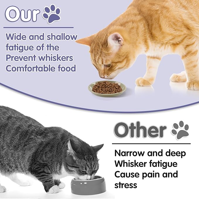 6 Pack Cat Food Bowl, Ceramic Cat Bowls, Anti Whisker Fatigue Cats Bowl Set,5.5 Inches Shallow Wide Kitten Plates for Food and Water (CaiSe-B)