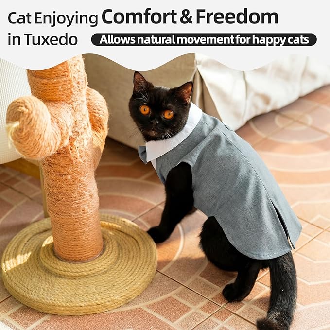 QBLEEV Cat Tuxedo Outfit, Sphynx Cat Costume for Cats Only, Formal Kitten Clothes Attire Suit with Bow Tie, Stylish Birthday Wedding Party Photo Shoots Costume for Male Female Cats, XXL, Grey