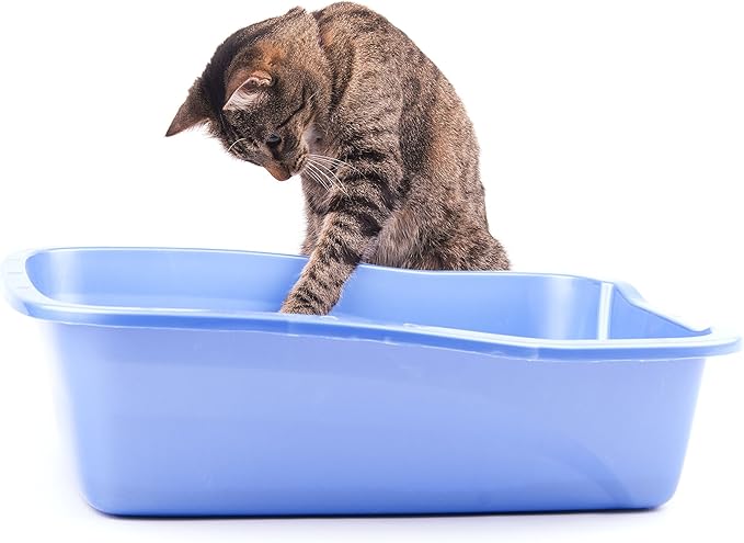 Cat Litter Odor Eliminator (1 Pack)