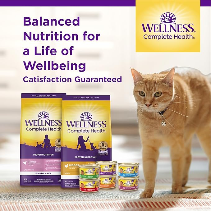 Wellness Complete Health Adult Dry Cat Food, Natural, Wholesome Grains Kibble, Chicken Recipe, 5 lb Bag