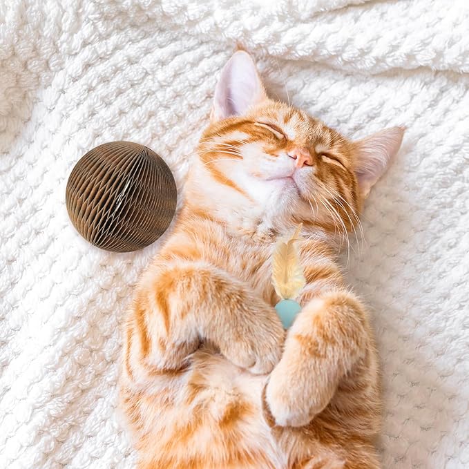6 PCS Cardboard Cat Ball Toy with Bell & 3 PCS Cat Feather Ball Toy, Tear-resistant Interactive Cat Toy Set for Indoor Outdoor Playing Chewing Training Chasing and Exercise for Cats Stress Relief