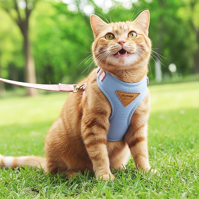 Escape-Proof Cat Harness and Leash Set - Adjustable and Comfortable - Ideal for Walking Cat Outdoors - Fits Small Dogs, Kittens, Medium, and Large Cats (Blue, L)